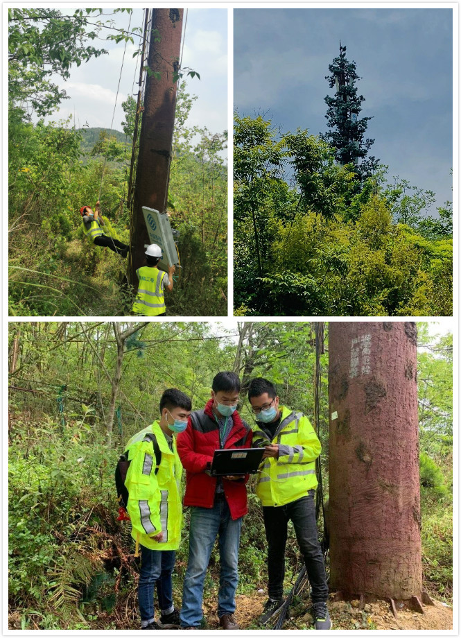 凤凰联盟·(中国区)官方网站