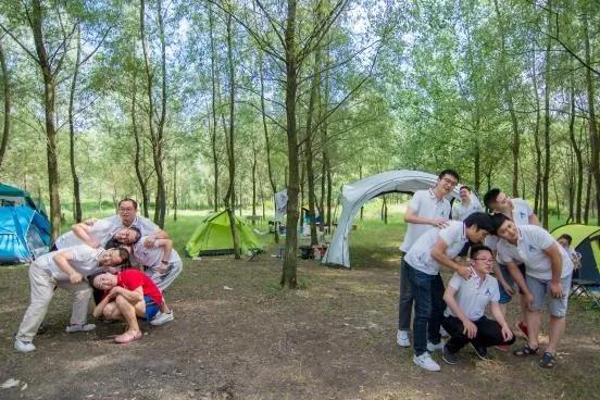 凤凰联盟·(中国区)官方网站