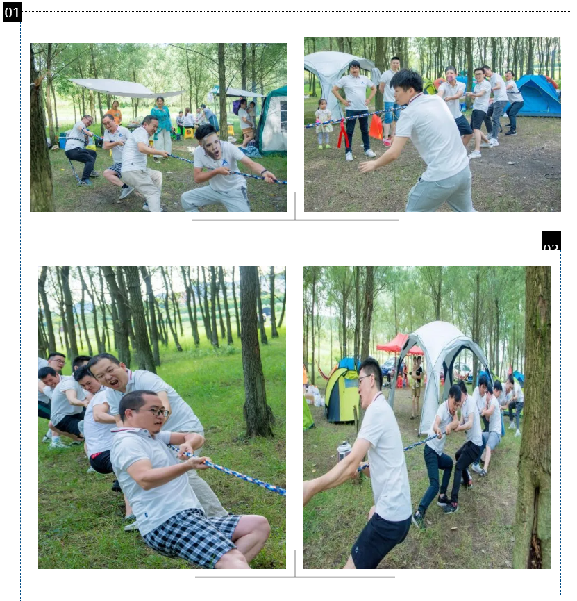 凤凰联盟·(中国区)官方网站