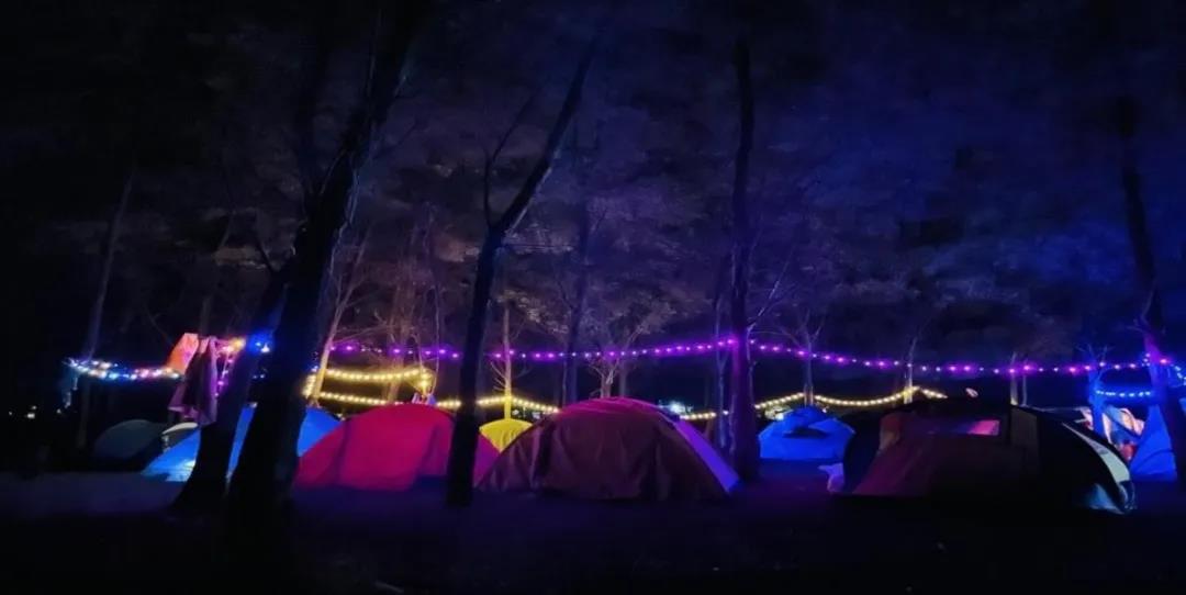 凤凰联盟·(中国区)官方网站