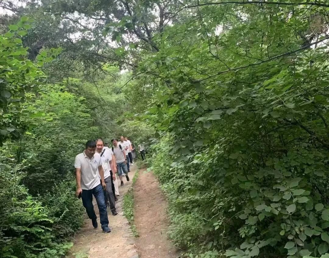 凤凰联盟·(中国区)官方网站