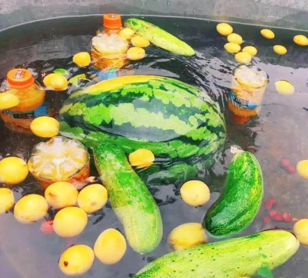 凤凰联盟·(中国区)官方网站