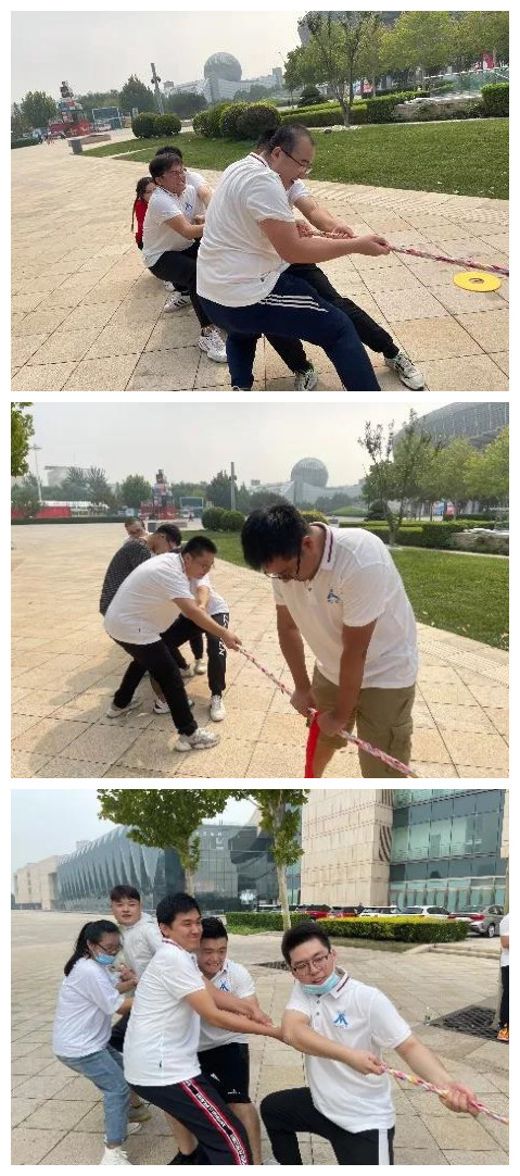 凤凰联盟·(中国区)官方网站