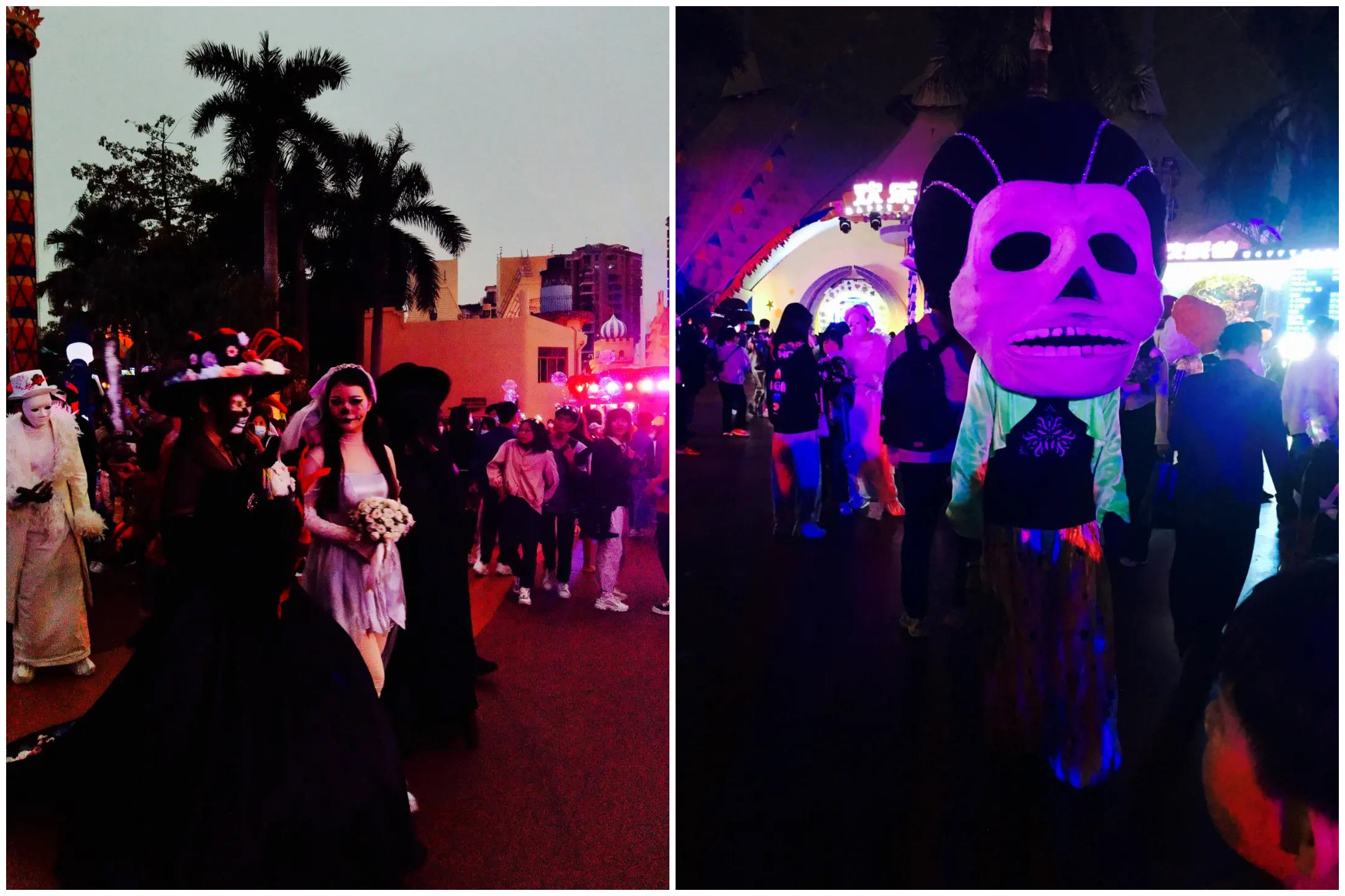 凤凰联盟·(中国区)官方网站