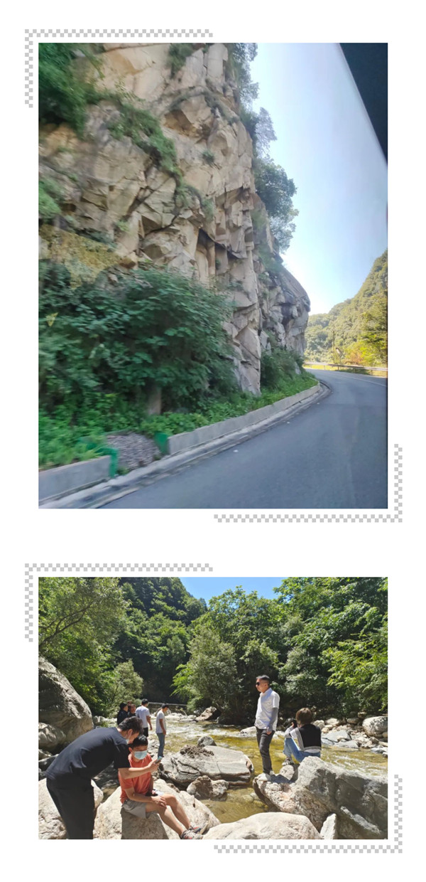 凤凰联盟手艺流程IT盘算域