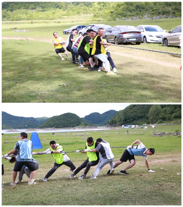 凤凰联盟·(中国区)官方网站