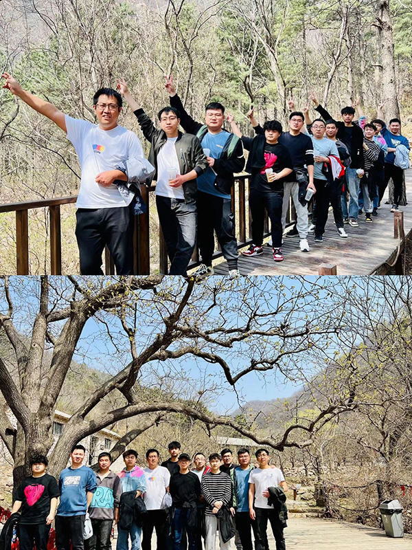 凤凰联盟·(中国区)官方网站