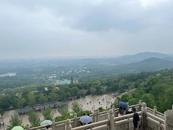 凤凰联盟·(中国区)官方网站