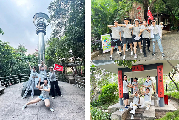 凤凰联盟·(中国区)官方网站