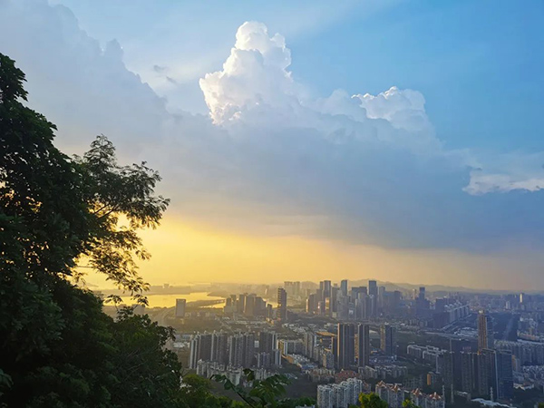 凤凰联盟·(中国区)官方网站