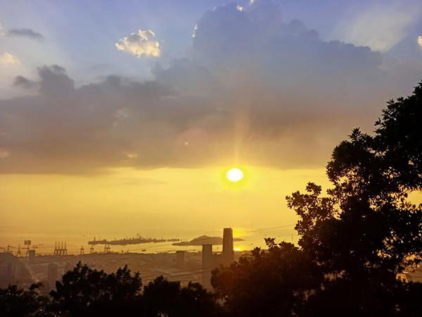 凤凰联盟·(中国区)官方网站