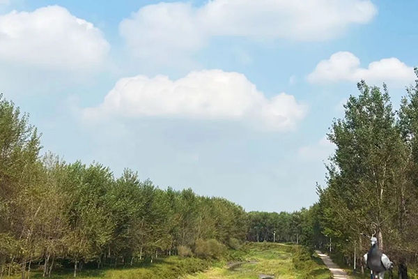 凤凰联盟·(中国区)官方网站