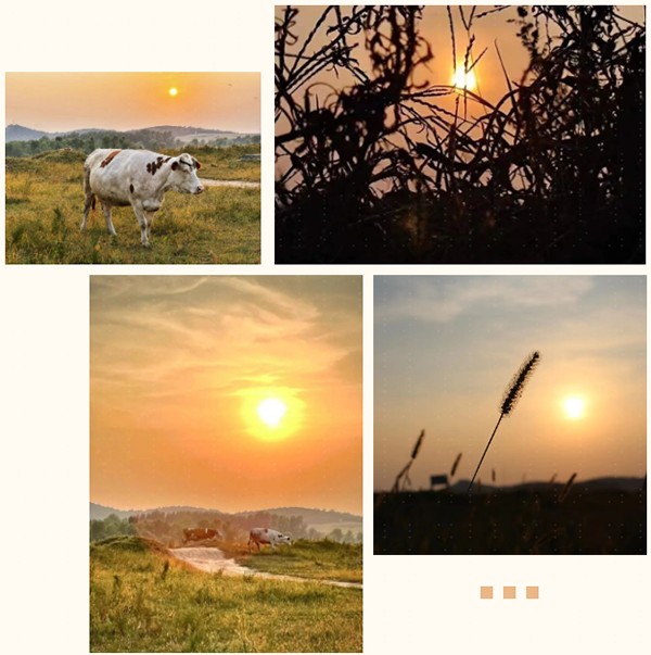 凤凰联盟·(中国区)官方网站