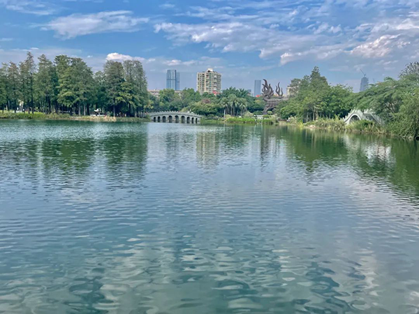 凤凰联盟·(中国区)官方网站