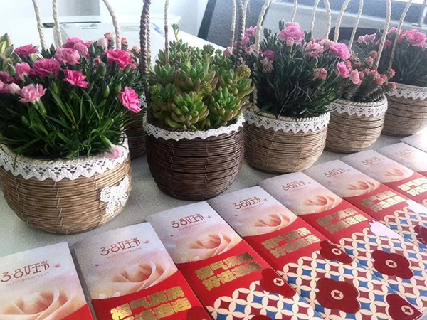 凤凰联盟·(中国区)官方网站