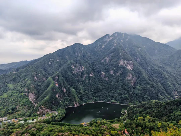 凤凰联盟·(中国区)官方网站