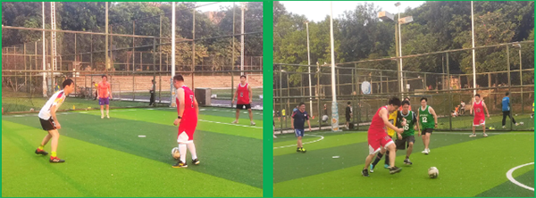 凤凰联盟·(中国区)官方网站