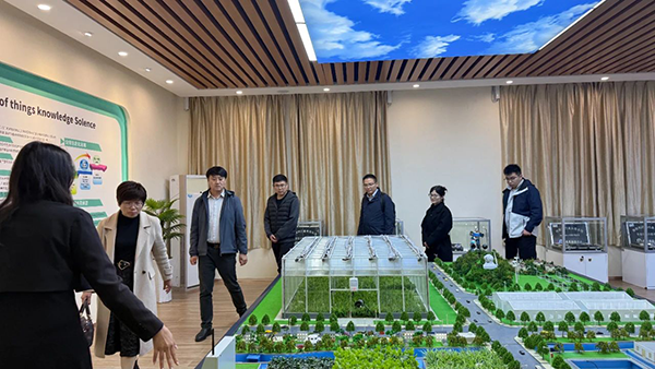 凤凰联盟·(中国区)官方网站