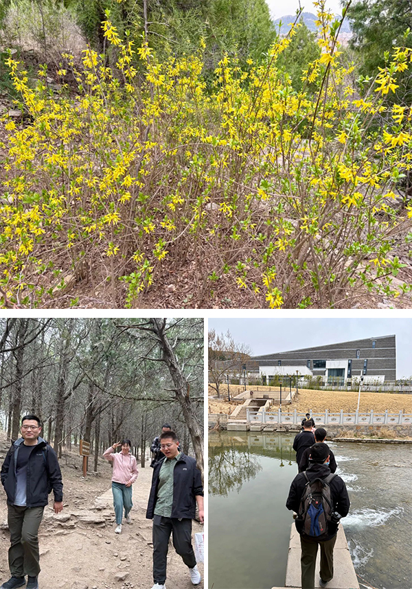 凤凰联盟·(中国区)官方网站