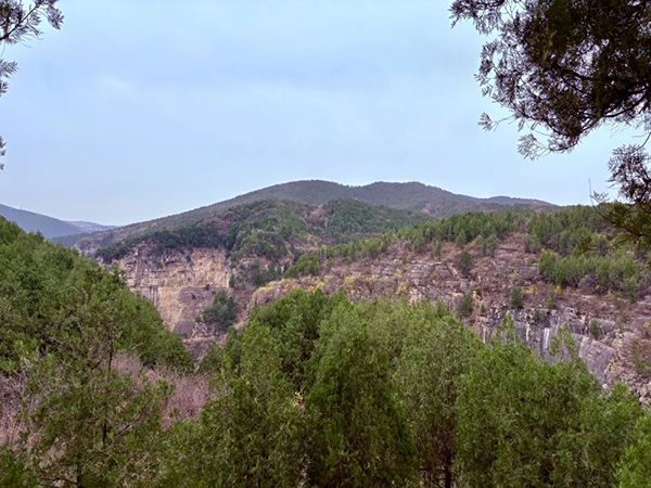 凤凰联盟·(中国区)官方网站