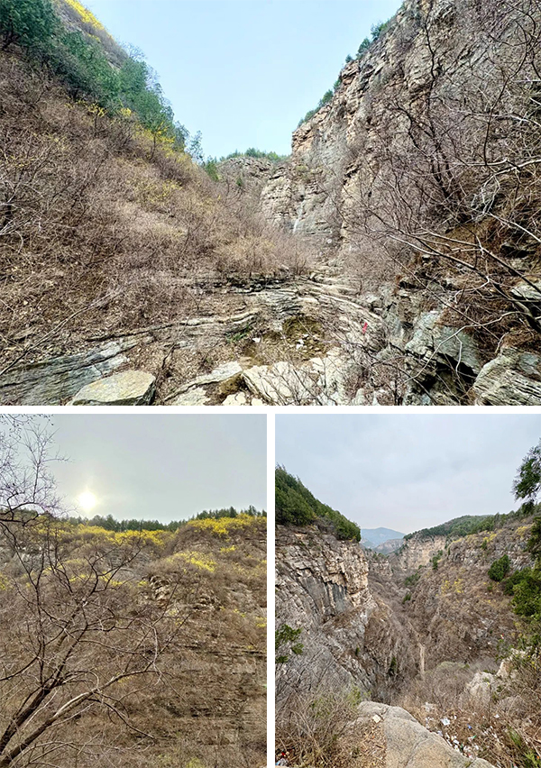 凤凰联盟·(中国区)官方网站