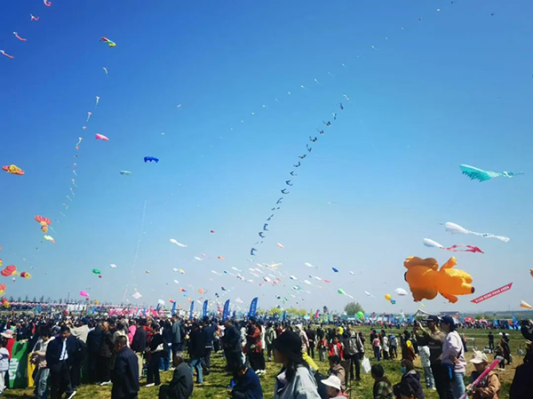 凤凰联盟·(中国区)官方网站