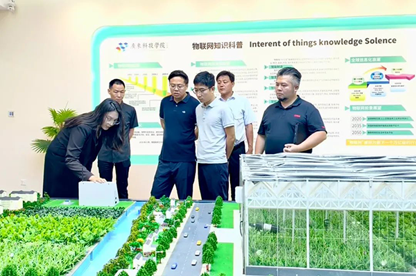 凤凰联盟·(中国区)官方网站